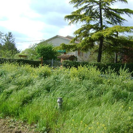 B&B La Mimosa Spello Eksteriør bilde