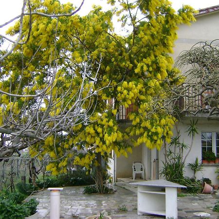 B&B La Mimosa Spello Eksteriør bilde