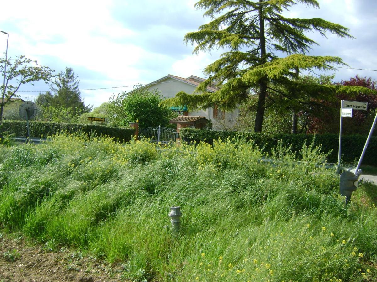 B&B La Mimosa Spello Eksteriør bilde