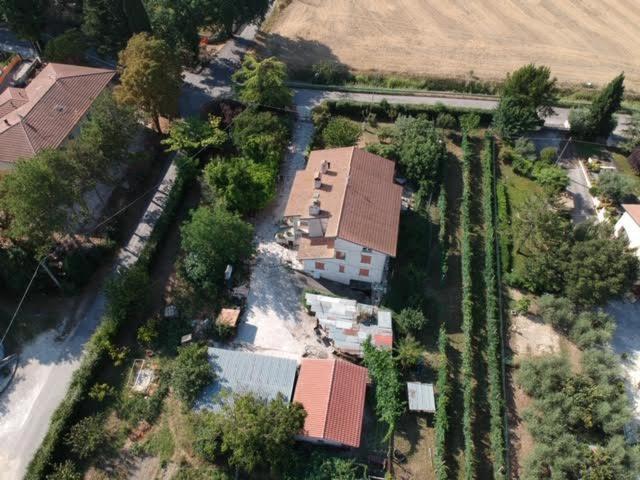 B&B La Mimosa Spello Eksteriør bilde