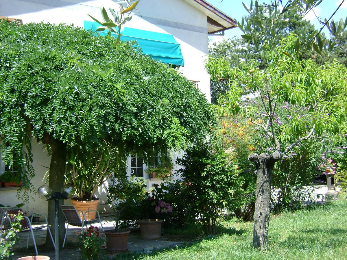 B&B La Mimosa Spello Eksteriør bilde